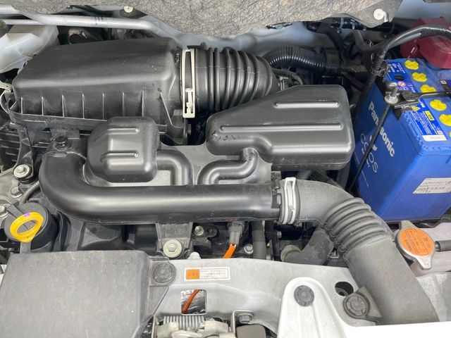24960922