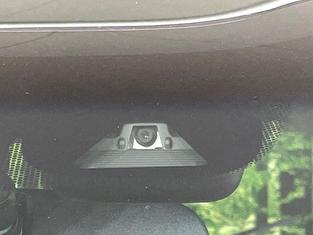 24961308