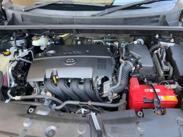24961748