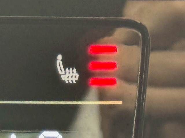 24962159