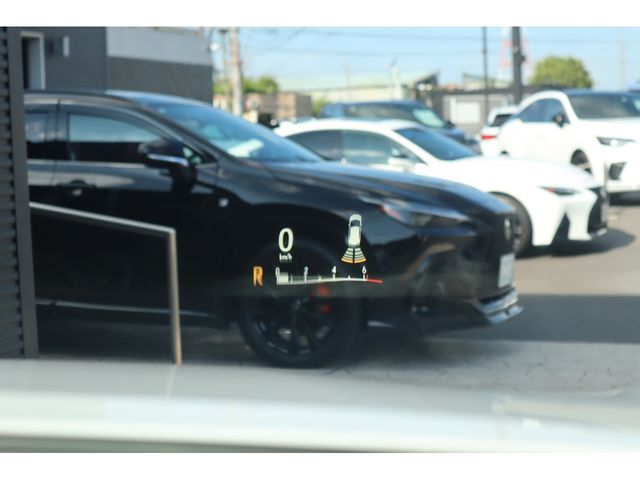 24962225