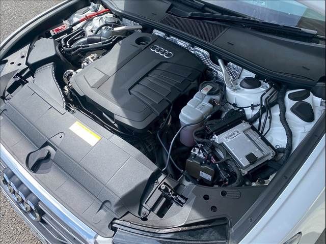 24962231