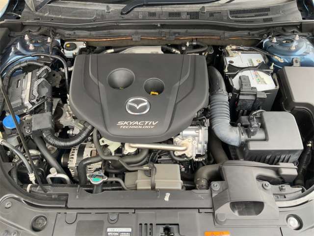 24962239