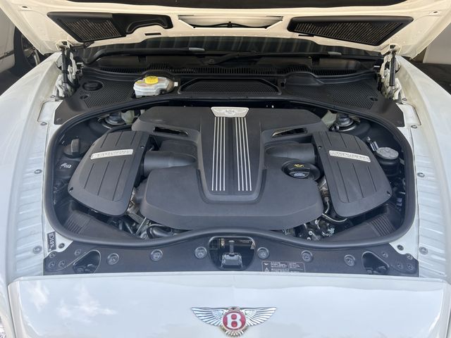 24980005