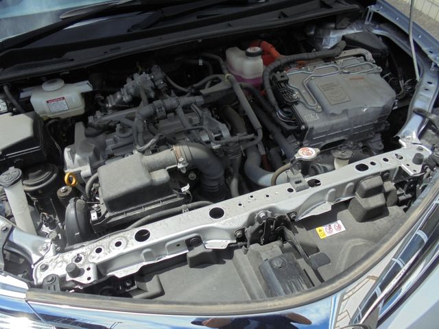 24980009