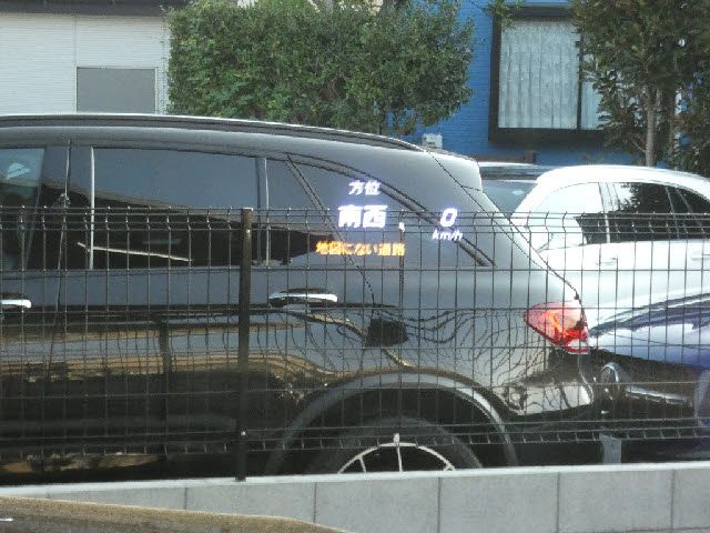 24990054