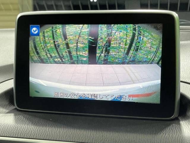 25060252