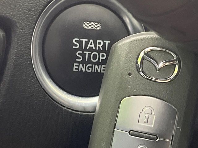 25060297