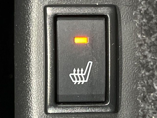 25061557