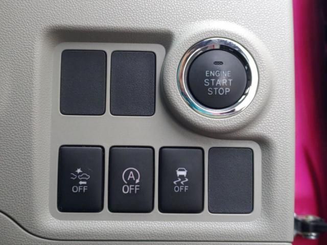 25065038