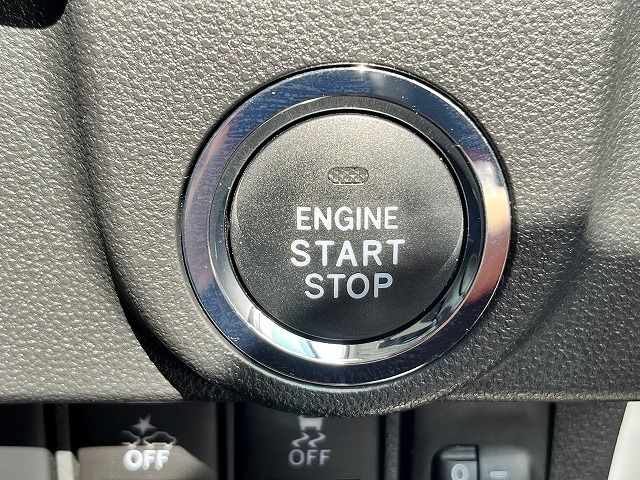 25065186
