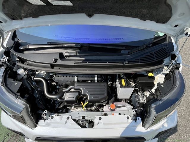25065186