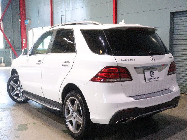 25066221