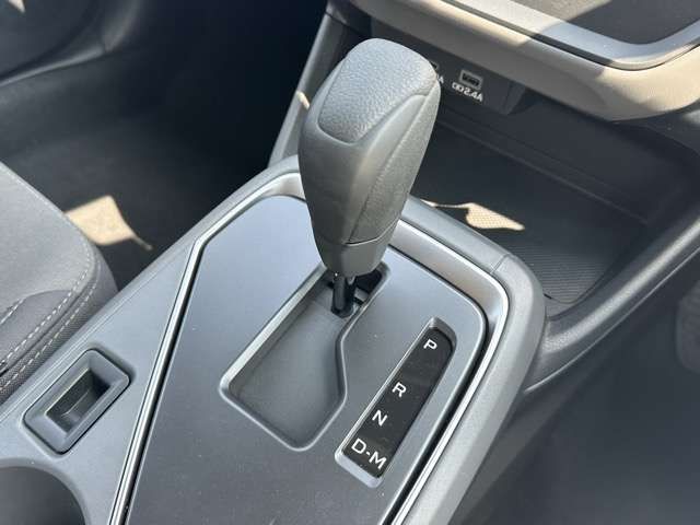 25160294