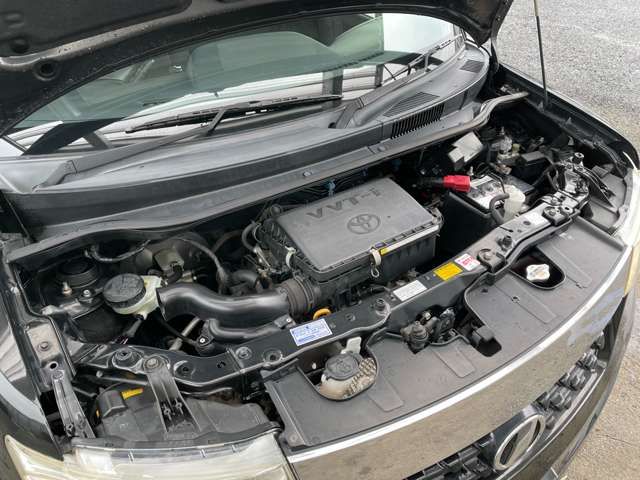 25161733