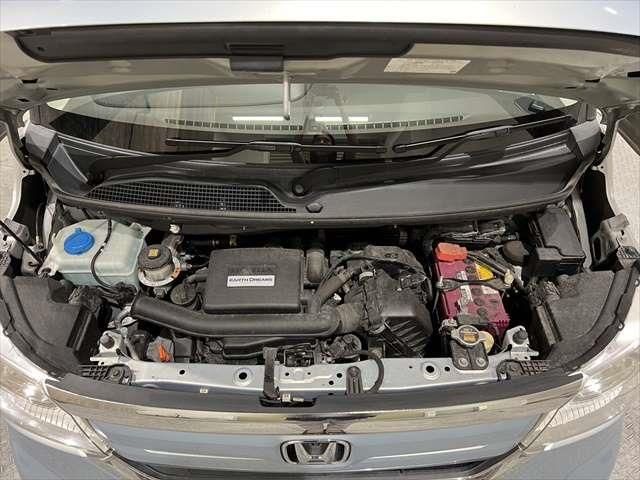 25165980