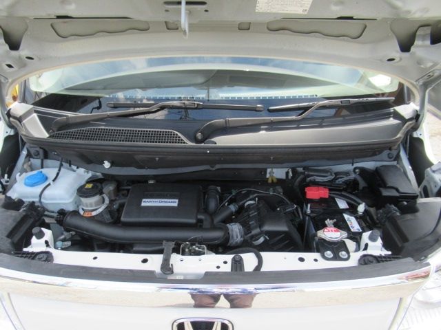 25250167