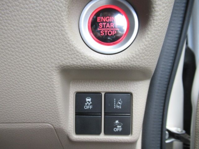25250167