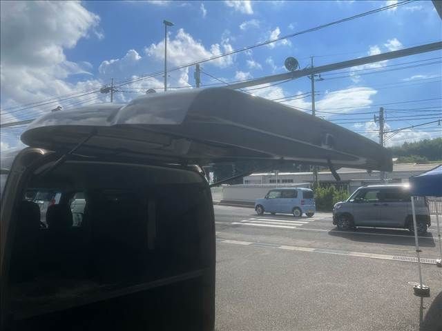 25250205