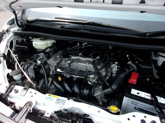 25260010