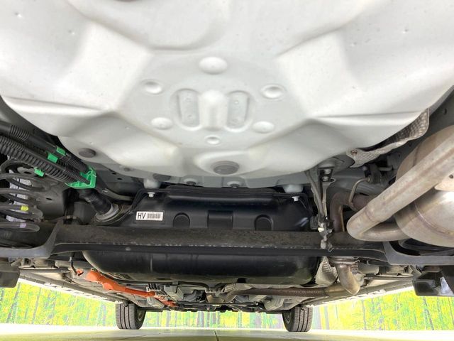 25262124