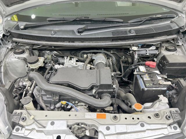 25262191