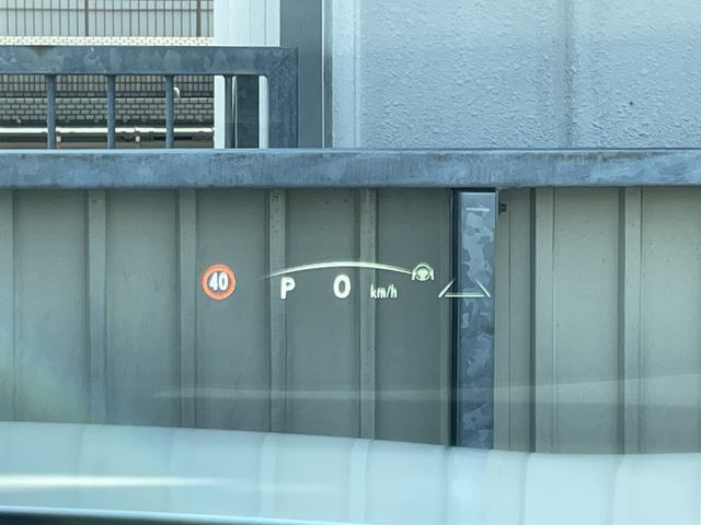 25262395