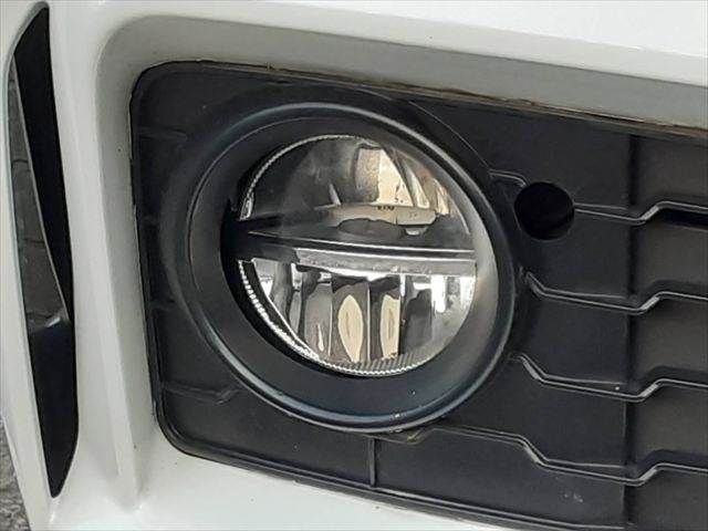 25266056