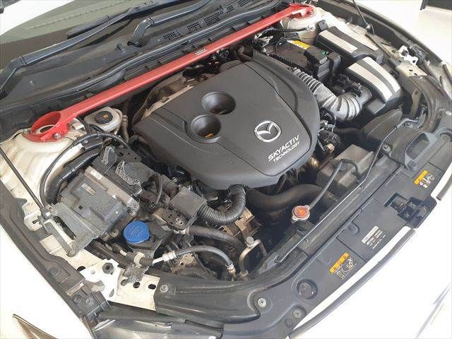 25266634