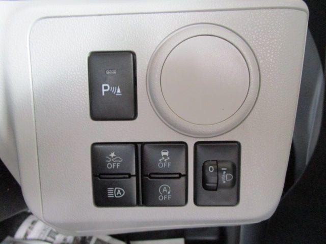 25350050