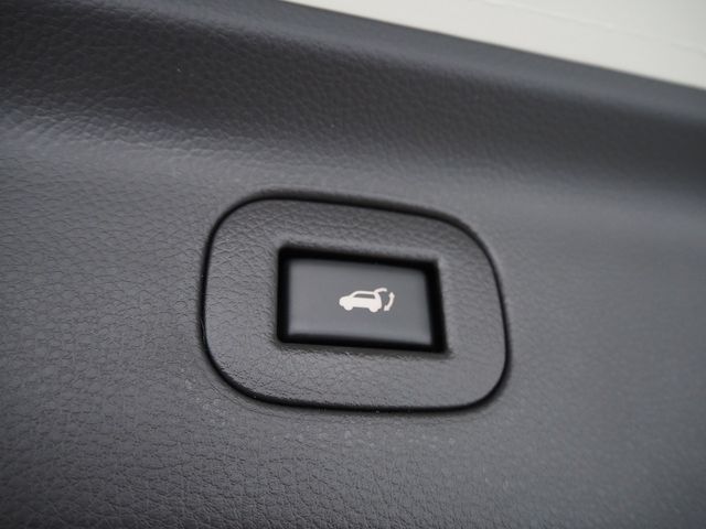 25350184