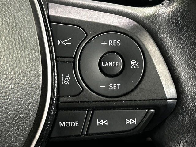 25361798