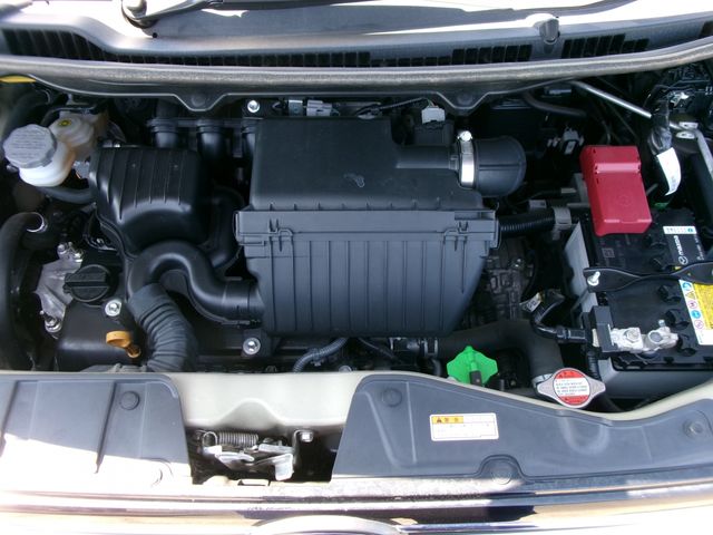 25450088