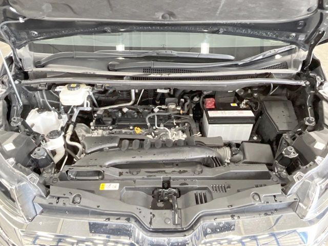 25461245