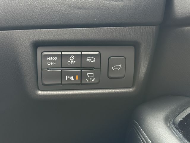 25462298