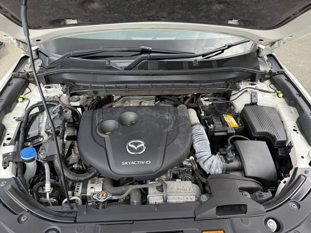 25462298