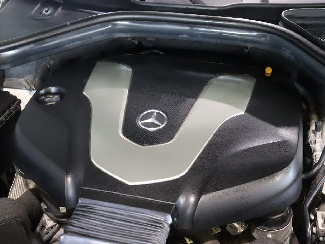25465545