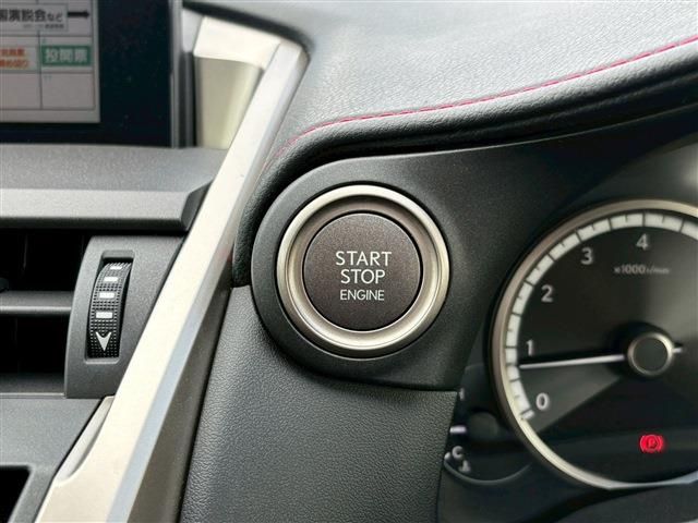 25466287