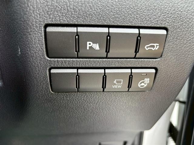 25466287