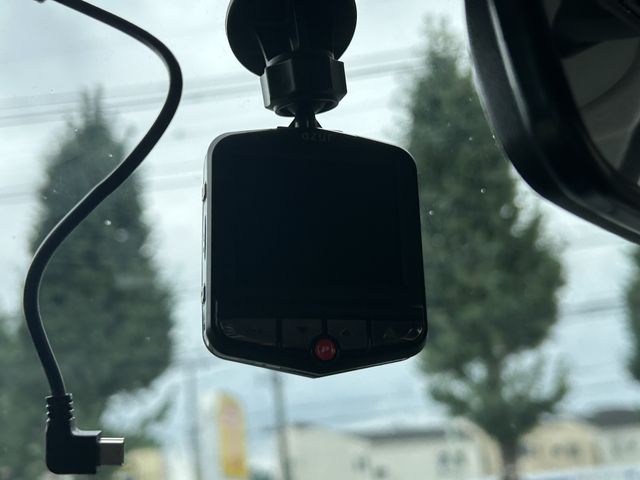 25550077