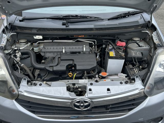 25550077