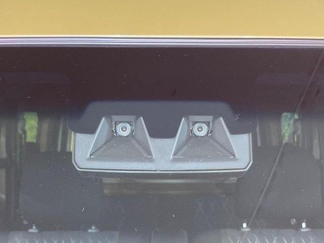 25561784