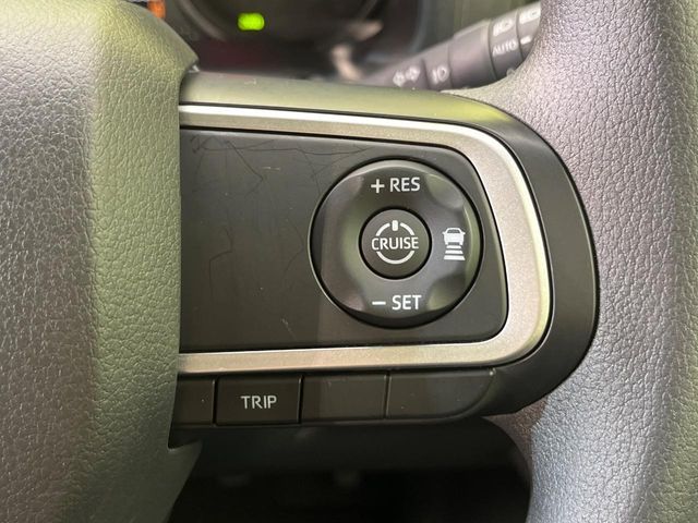 25561784
