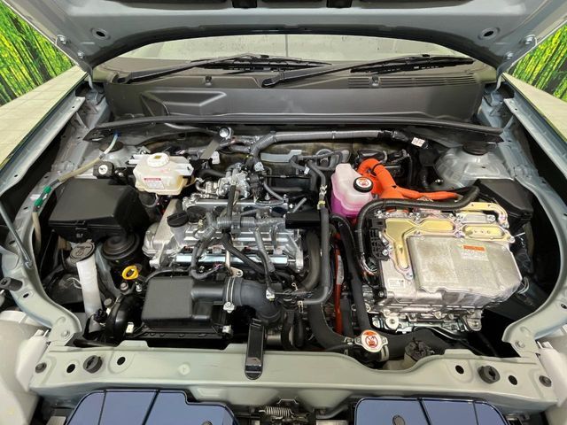 25562051