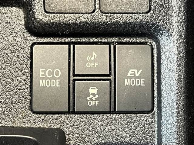25566631