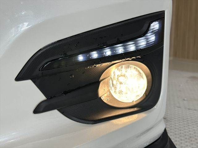25567921