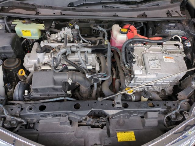 25600056