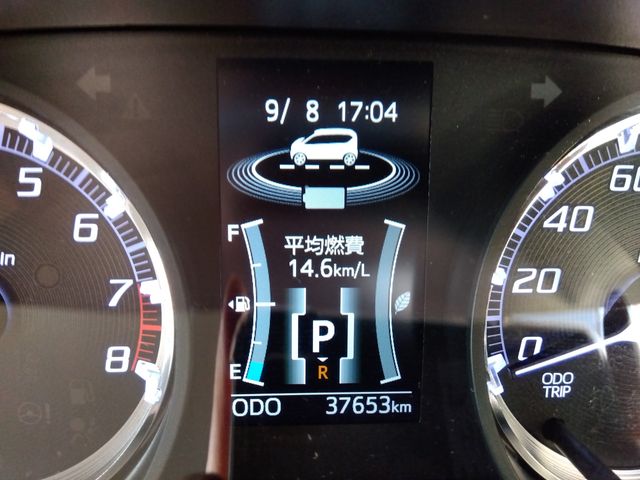 25650264