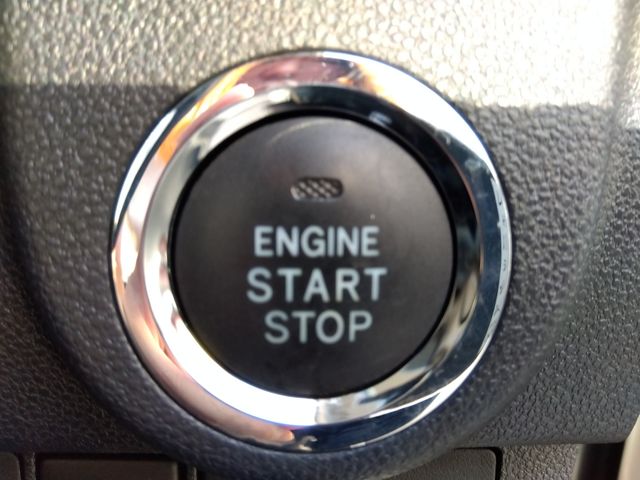 25650264