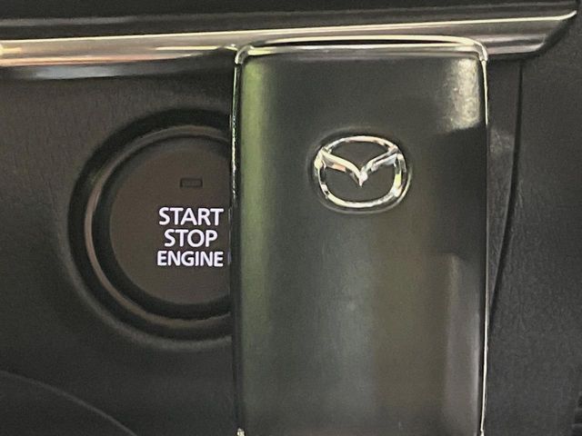 25660802